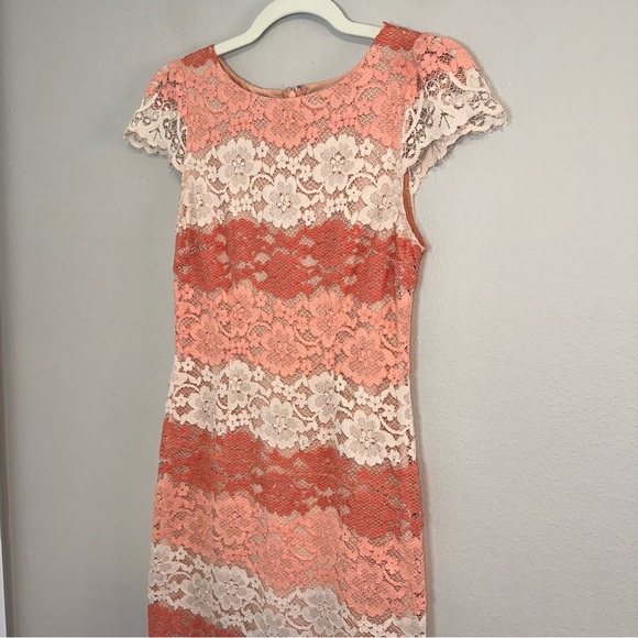 Erin Fetherstone - Lace Stripes Pencil Sheath Dress Pink Coral - Picture 3 of 7